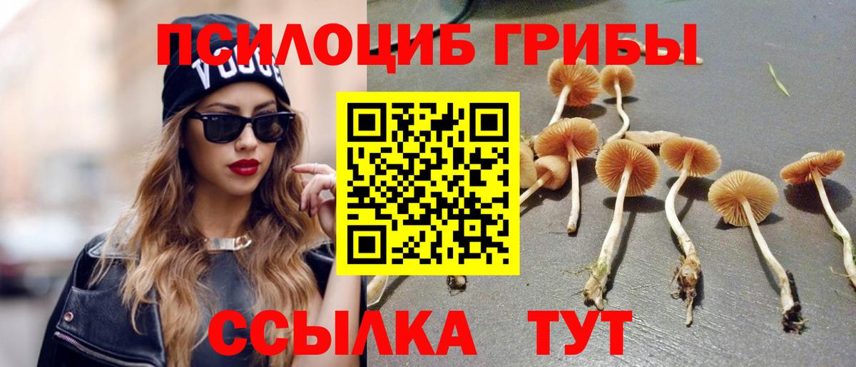 Верхний Уфалей  где купить наркоту  Галлюциногенные грибы Magic Shrooms  Вход с VPN  Псилоцибиновые грибы Psilocybine cubensis 