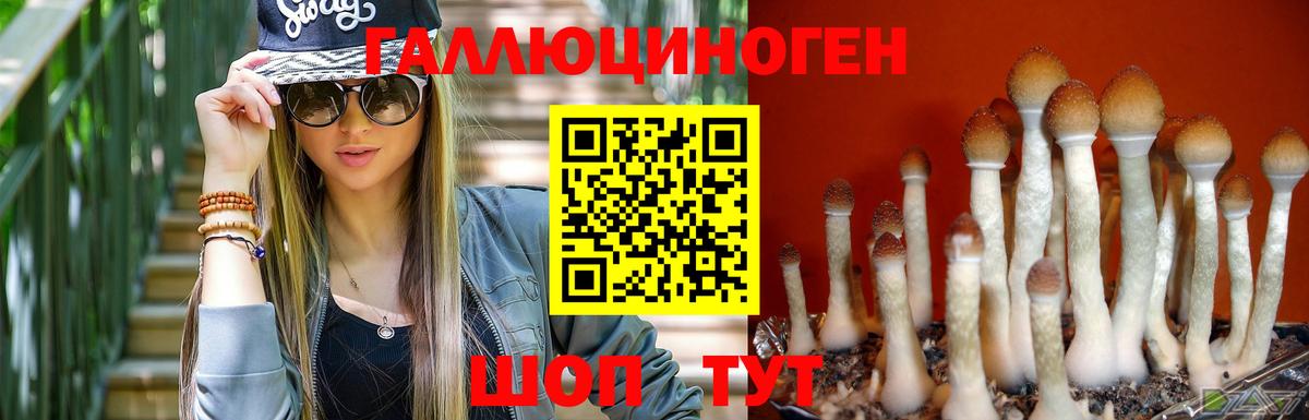 Галлюциногенные грибы Psilocybine cubensis Верхний Уфалей
